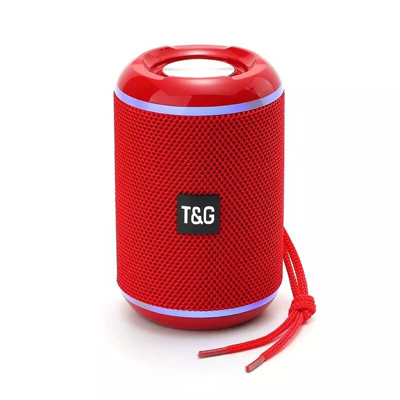 Parlante T&G 291