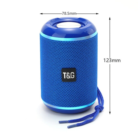 Parlante T&G 291