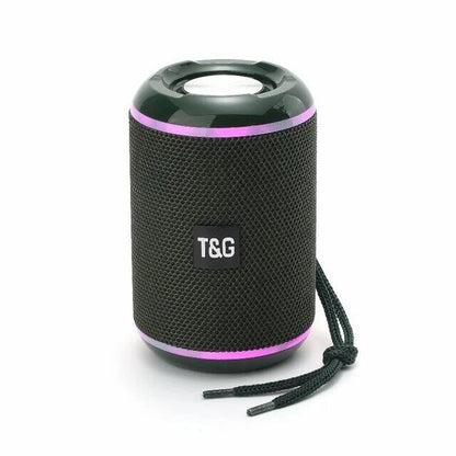 Parlante T&G 291